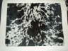 3 - Crosswise on cowhide