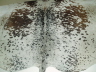 B & B Salt and Pepper Cowhide 5.5 x 6 �195