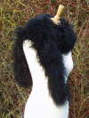 Long Black Mongolian Sheepskin Scarf �65 