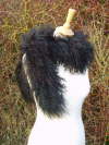 Black and Brown Mongolian Sheepskin Scarf �65