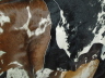 Cowhide for Bags and Belts