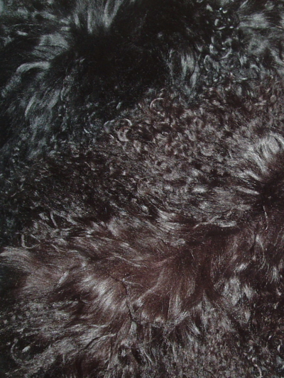 Dark Choc and Black Mongolian Sheepskin