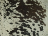 Imperfections in Cowhide